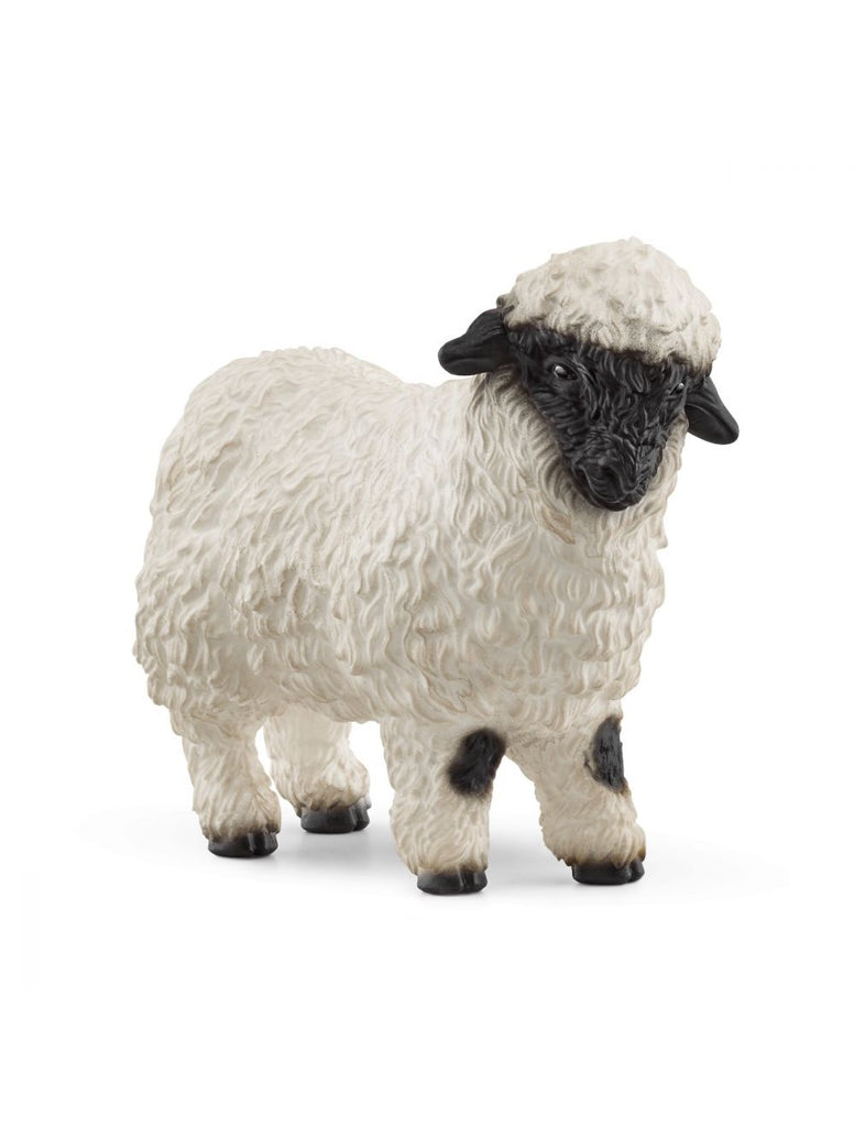 SC13965 VALAIS BLACKNOSE SHEEP