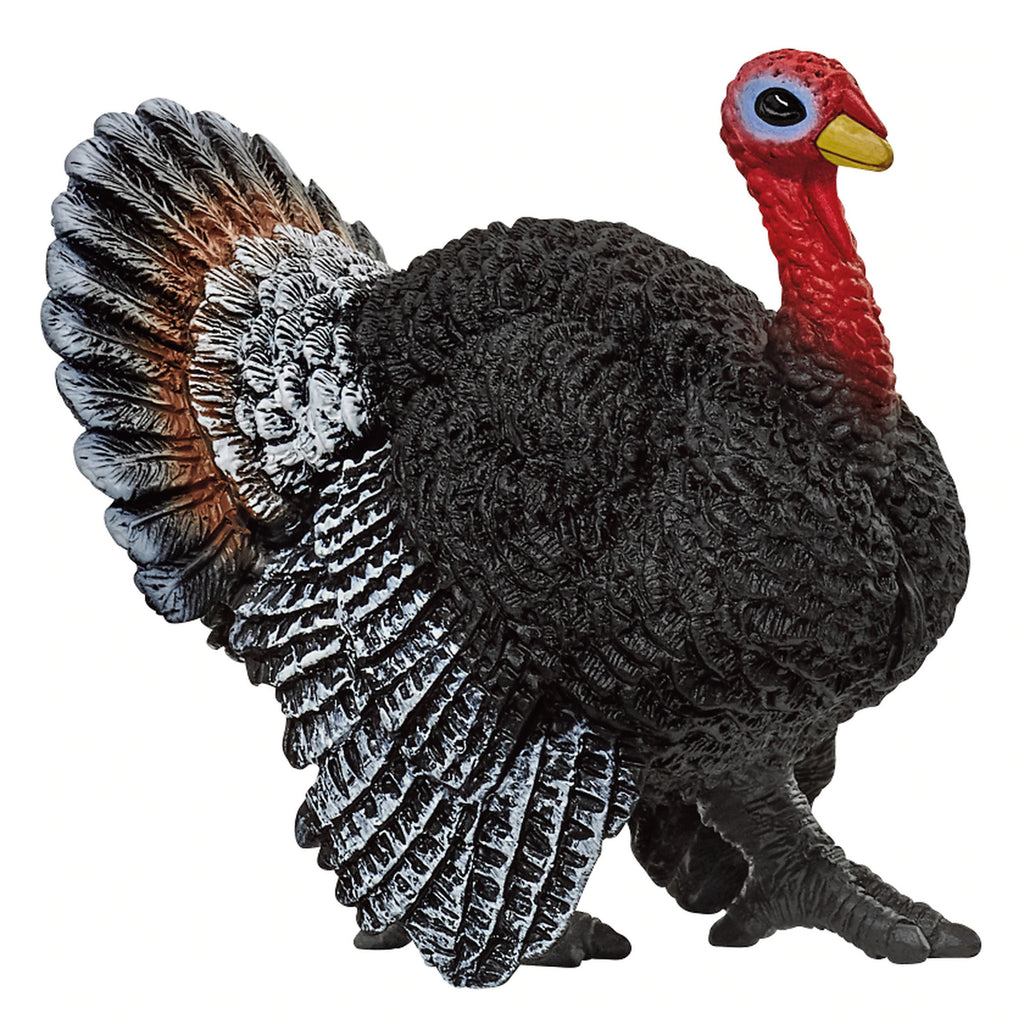 SC13900 TURKEY