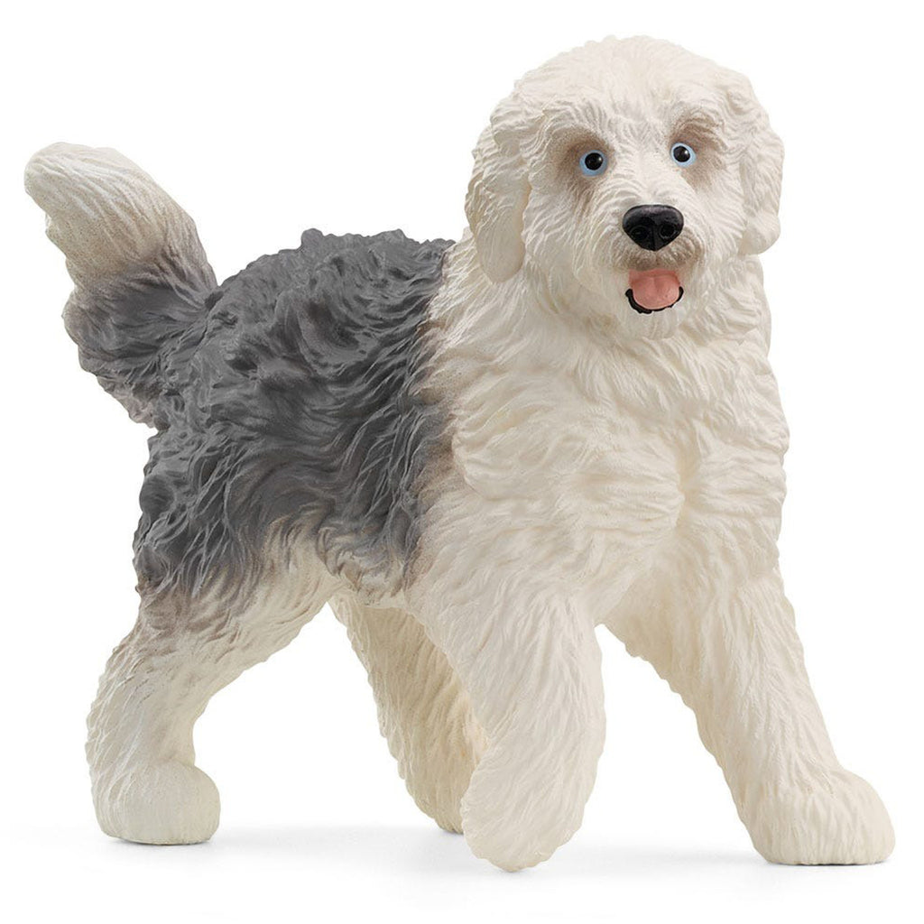 SC13968 Old English Sheepdog