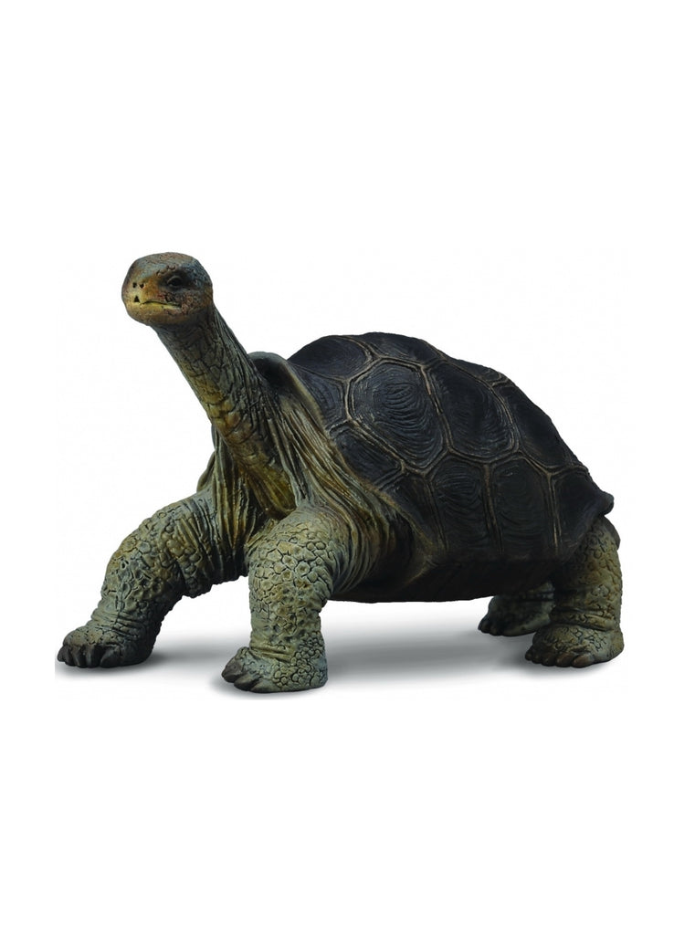 COLLECTA TORTOISE PINTA ISLAND GEORGE