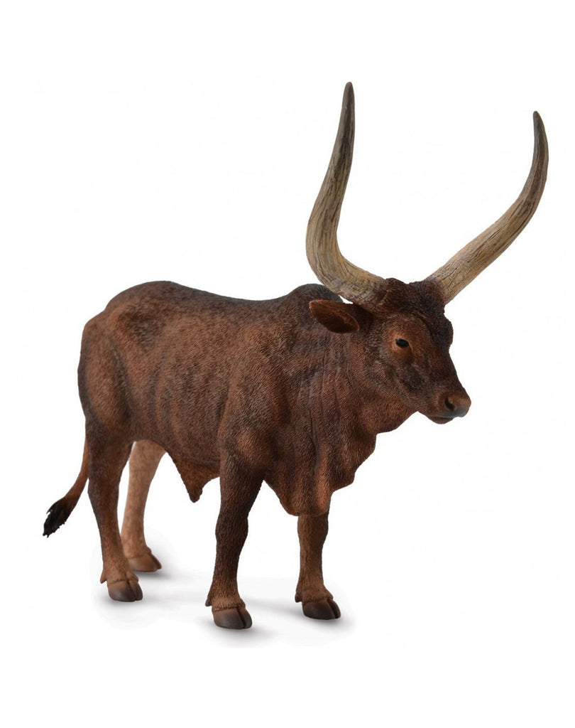 COLLECTA ANKOLE - WATUSI BULL