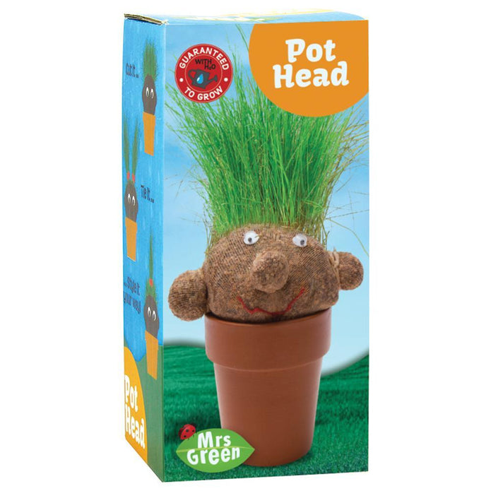 MRS GREEN POT HEAD