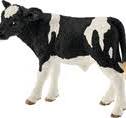SC13798 HOLSTEIN CALF