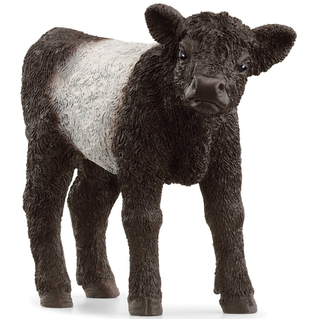 13969 SCHLEICH GALLOWAY CALF