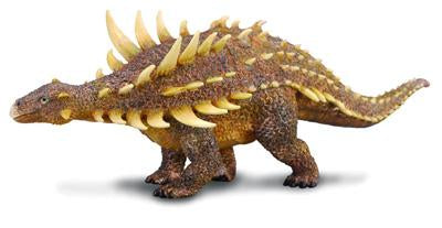 COLLECTA POLACANTHUS