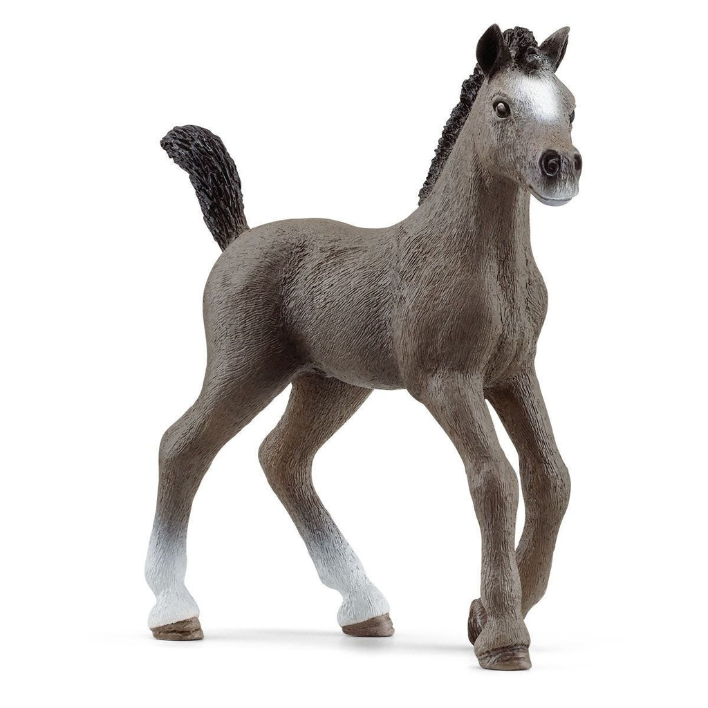 13957 SCHLEICH SELLE FRANCAIS FOAL