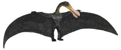 COLLECTA ORNITHOCHEIRUS