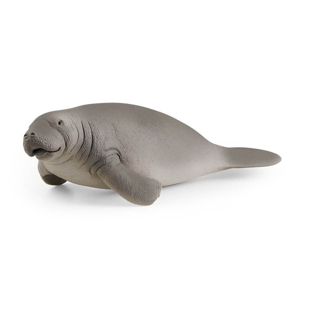 14839 SCHLEICH MANATEE