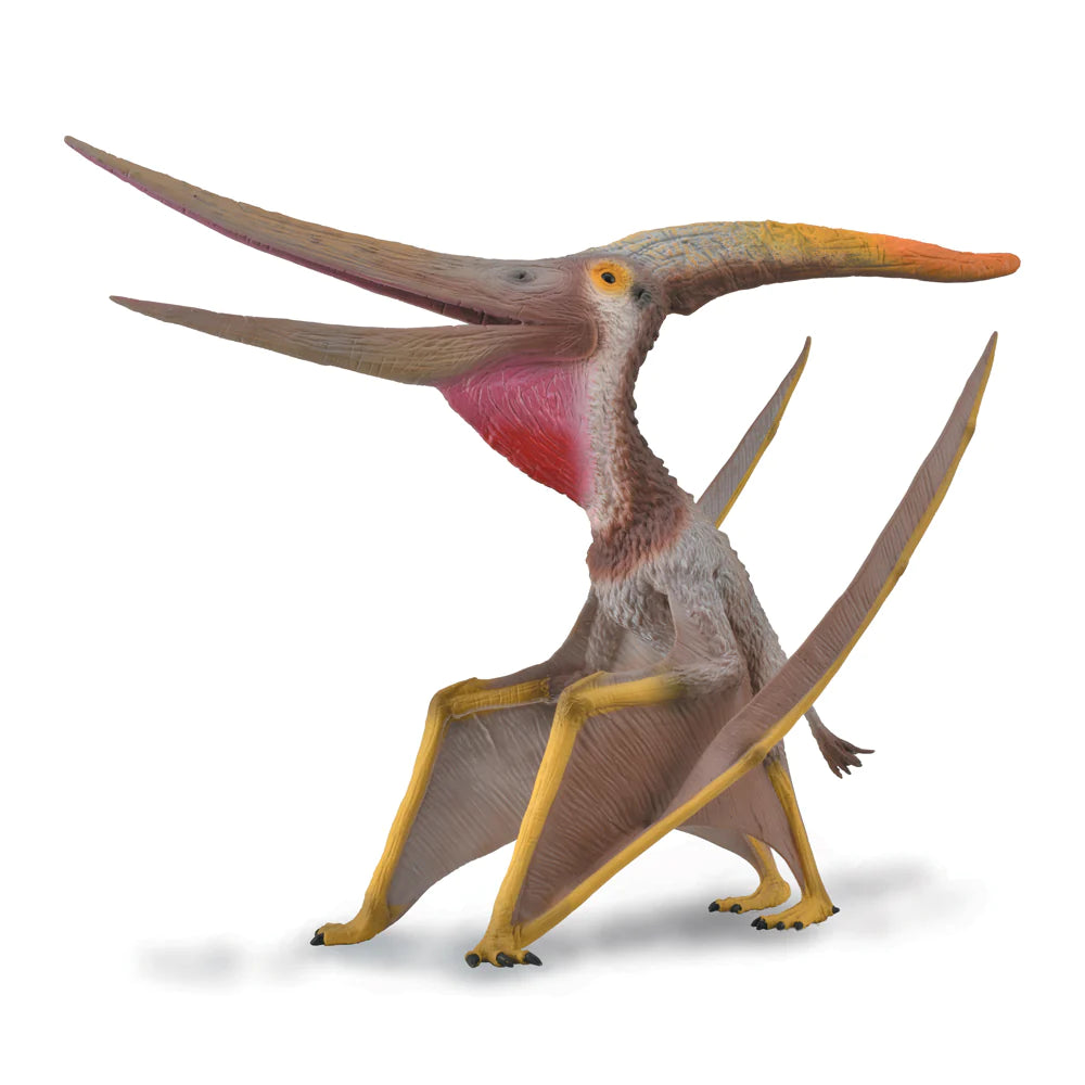 COLLECTA PTERANODON STERNBERGI XL