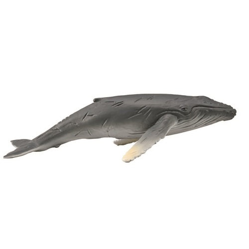 COLLECTA HUMPBACK WHALE CALF (M)