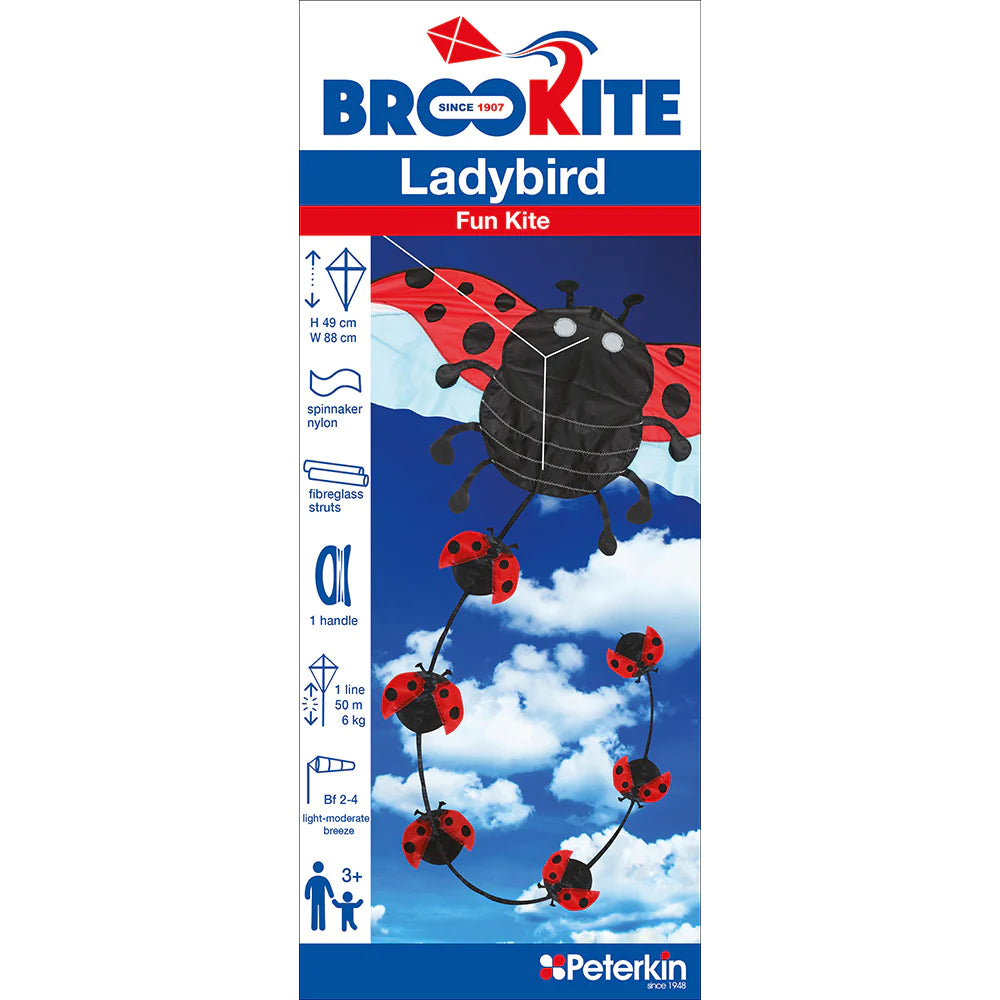 T66043 BROOKITE LADYBIRD KITE