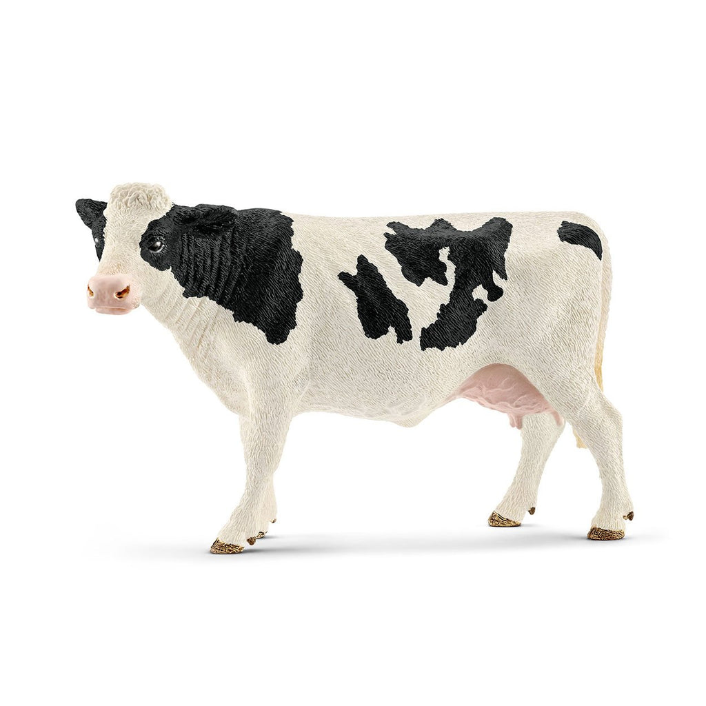 SC13797 HOLSTEIN COW