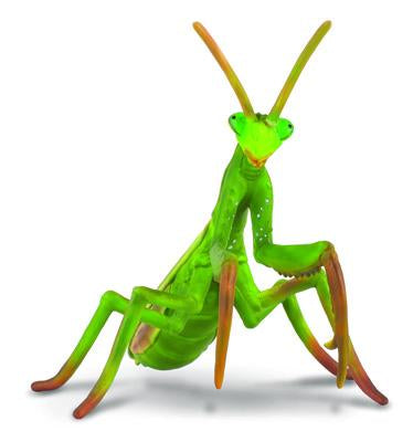 COLLECTA PRAYING MANTIS