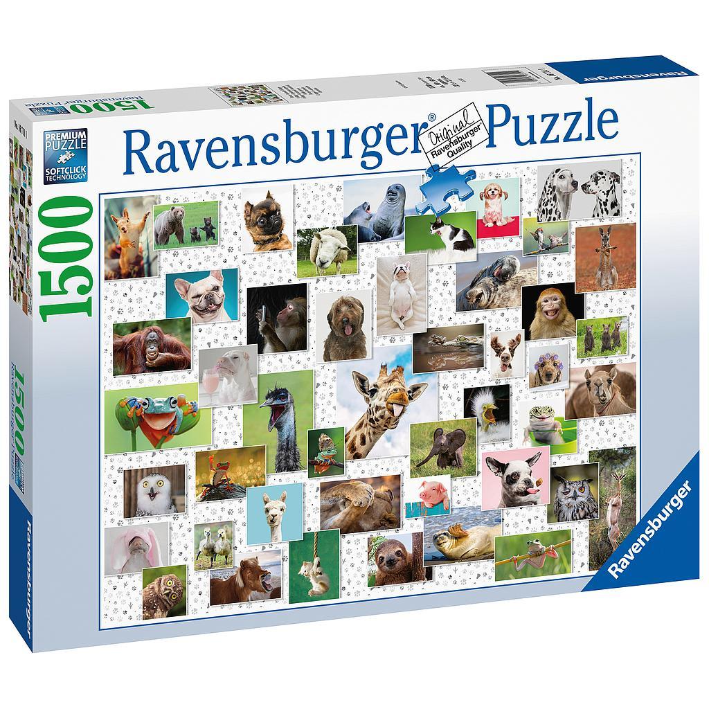 RAVENSBURGER FUNNY ANIMALS 1500PC