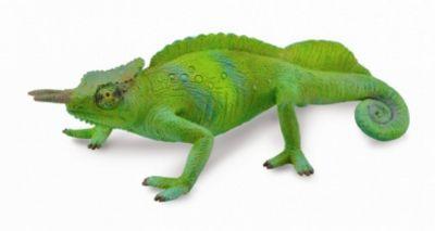 COLLECTA CAMEROON SAILFIN CHAMELEON