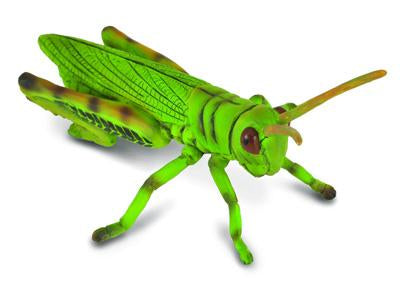 COLLECTA GRASSHOPPER