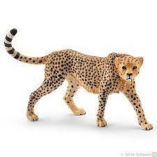 14746 CHEETAH FEMALE