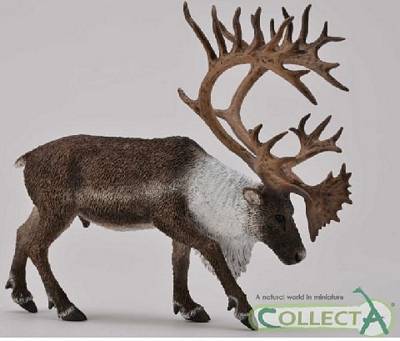 COLLECTA WOODLAND CARIBOU