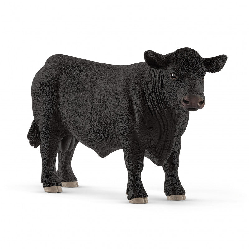 SC13879 BLACK ANGUS BULL