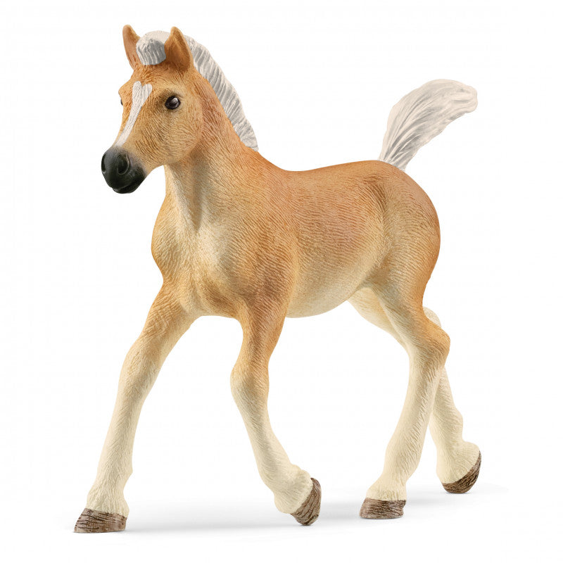 13951 SCHLEICH HAFLINGER FOAL