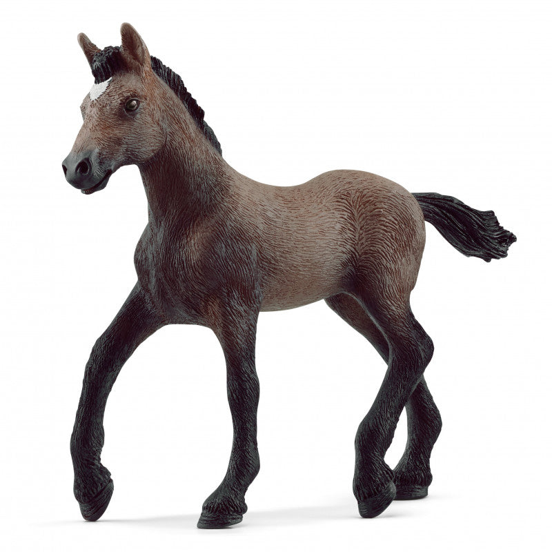 13954 SCHLEICH PERUVIAN FOAL