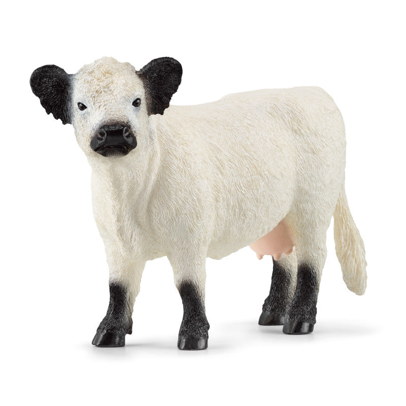 13960 SCHLEICH GALLOWAY COW